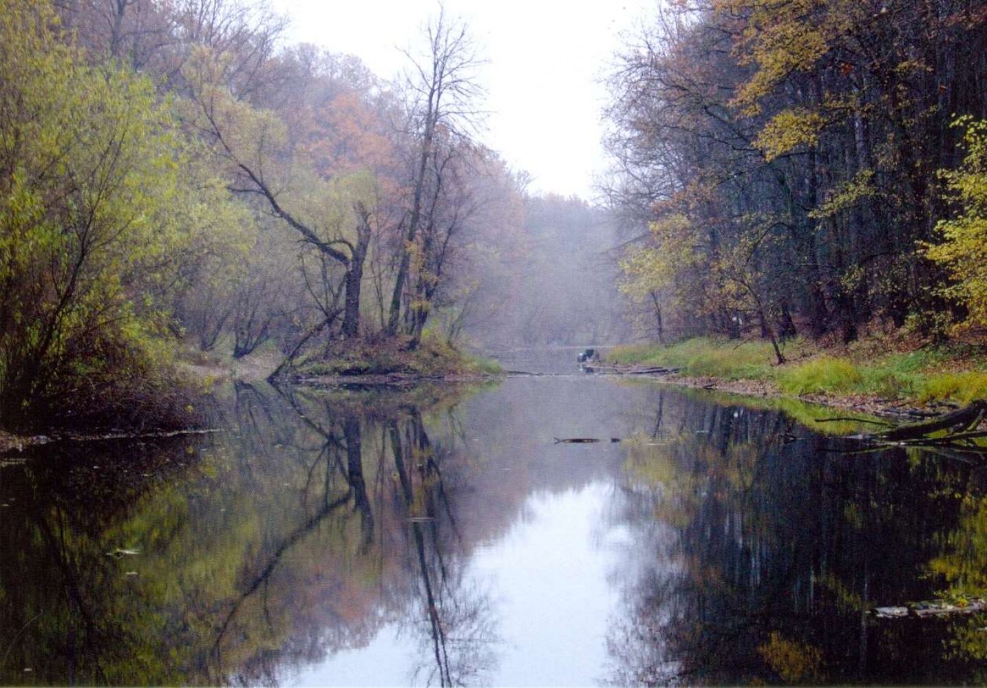 Современная фотография пруда среди деревьев усадебного парка в Ключе Жизни.