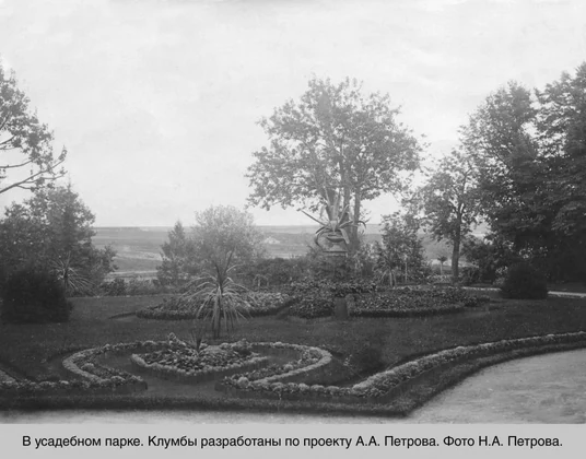 Клумбы с агавами в Петровском парке